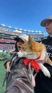 Instagram post by @alannavizzoni