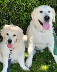 Instagram post by @ameliamheinle