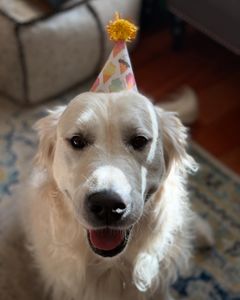 Instagram post by @ameliamheinle