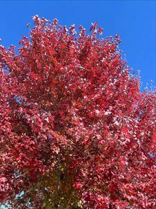 Instagram post by @joshlandontv