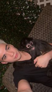 Instagram post by @king_cbas