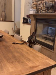 Instagram post by @king_cbas