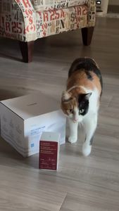 Instagram post by @organicamerican_