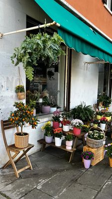 Instagram post by @angellicacorona