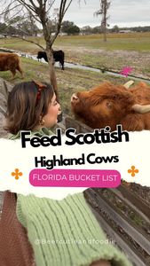 Instagram post by @beercutieandfoodie