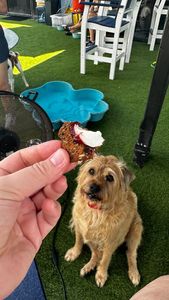 Instagram post by @sunshineandkeylimeblog