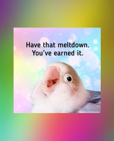 Instagram post by @iridescentscarab