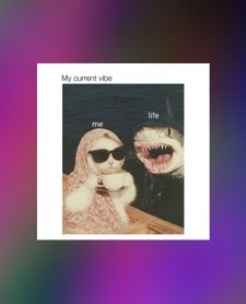 Instagram post by @iridescentscarab