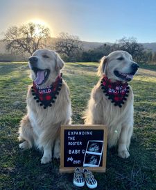 Instagram post by @graysongrowsup