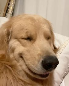 Instagram post by @graysongrowsup