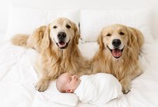 Instagram post by @graysongrowsup