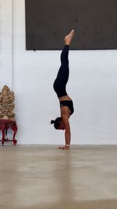 Instagram post by @tribevinyasa