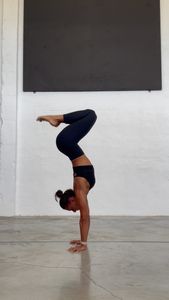 Instagram post by @tribevinyasa