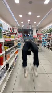 Instagram post by @dominick_hughes