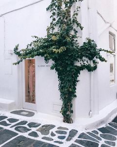 Instagram post by @tianacosmetics