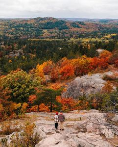 Instagram post by @felicia_fullwood