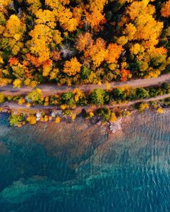 Instagram post by @felicia_fullwood