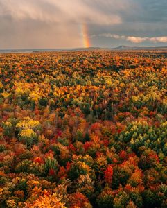 Instagram post by @felicia_fullwood