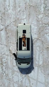 Instagram post by @krystinlilly