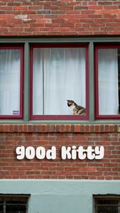 Instagram post by @theherohogan