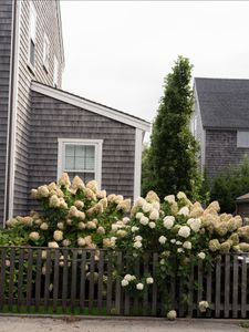 Instagram post by @cameronwilder