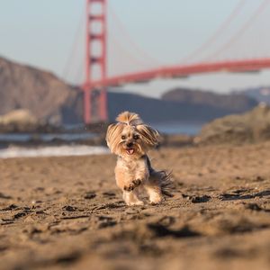 Instagram post by @juicy.and.izzy