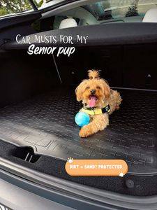 Instagram post by @juicy.and.izzy