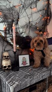 Instagram post by @juicy.and.izzy