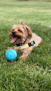 Instagram post by @juicy.and.izzy