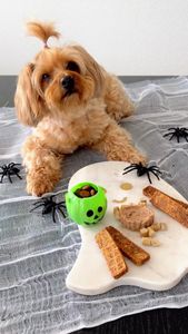 Instagram post by @juicy.and.izzy