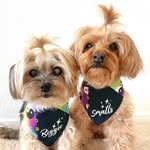 @juicy.and.izzy Instagram Profile