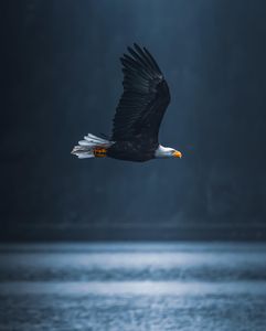 Instagram post by @hikester_