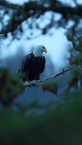 Instagram post by @hikester_