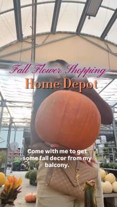 Instagram post by @fairestovemall