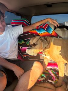 Instagram post by @milessilvas