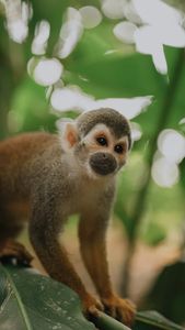 Instagram post by @pabloovelascoo