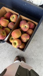 Instagram post by @itsaverymonet