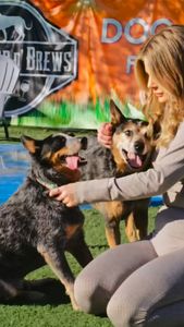 Instagram post by @hayleycampb3ll