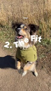 Instagram post by @amberblaski