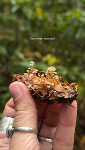 Instagram post by @amberblaski