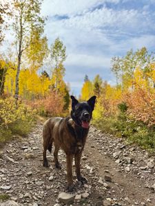 Instagram post by @exploreandhike