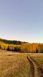 Instagram post by @exploreandhike