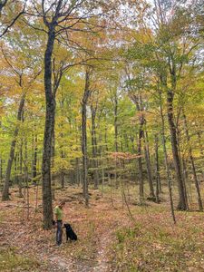 Instagram post by @back.road.ramblers