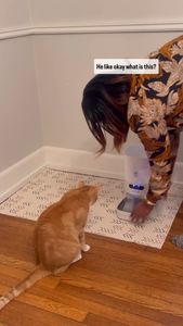 Instagram post by @marissadwilson