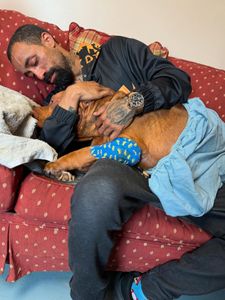 Instagram post by @darkdynastyk9s