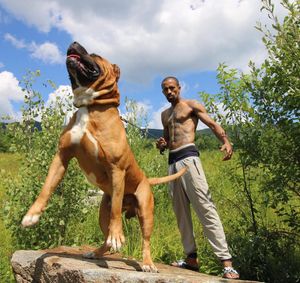 Instagram post by @darkdynastyk9s