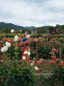 Instagram post by @thisadventurefamily