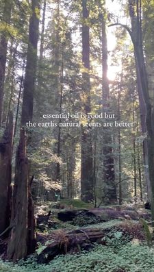 Instagram post by @jaylee.robinett