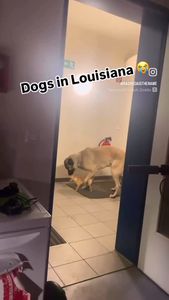 Instagram post by @rajahcardio