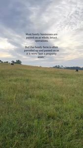 Instagram post by @lilyhillcattle